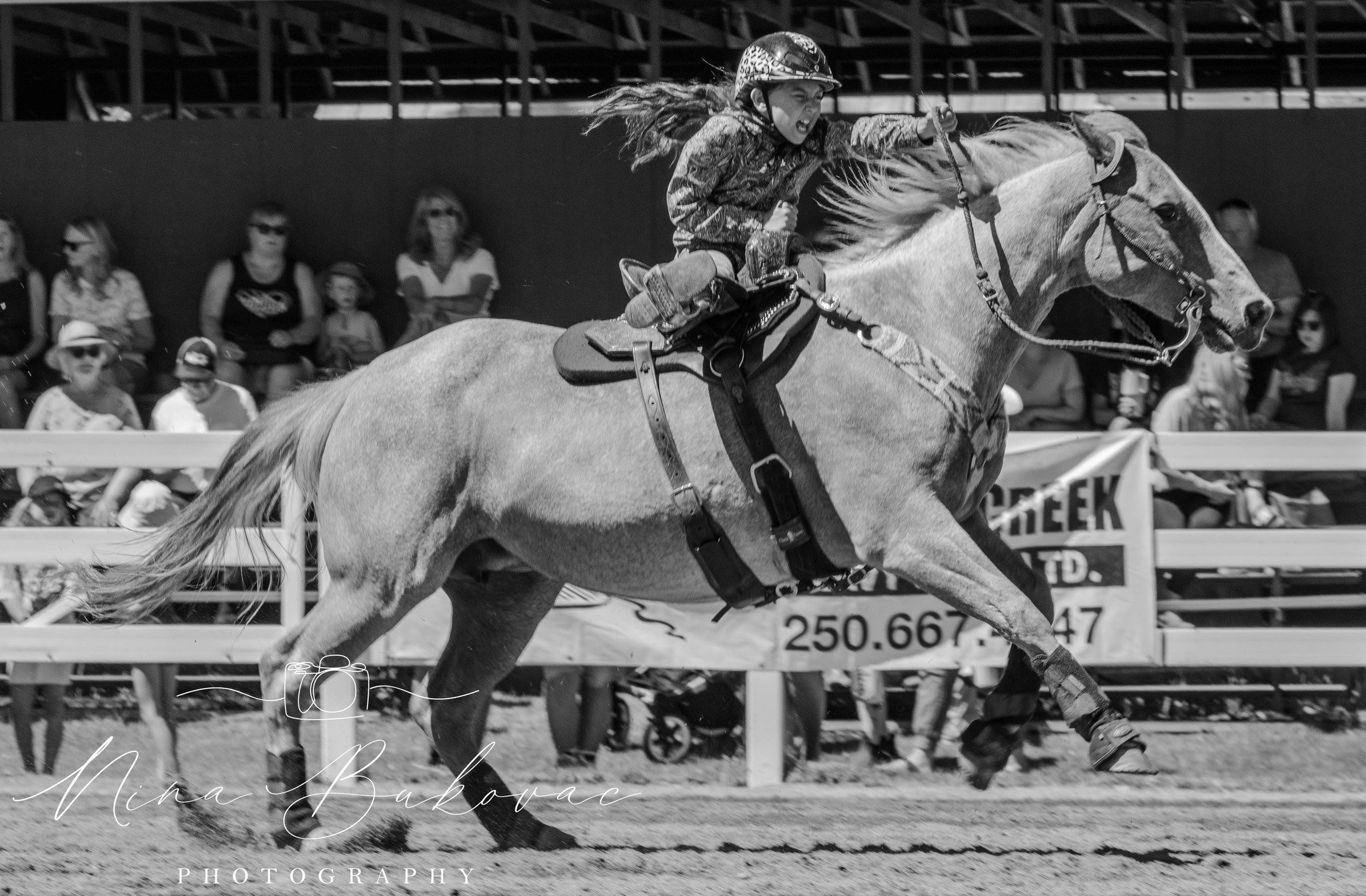 Barrel racing photo